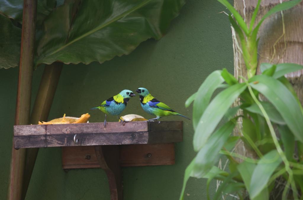 Pousada Refugio Tropical Araquari Kültér fotó